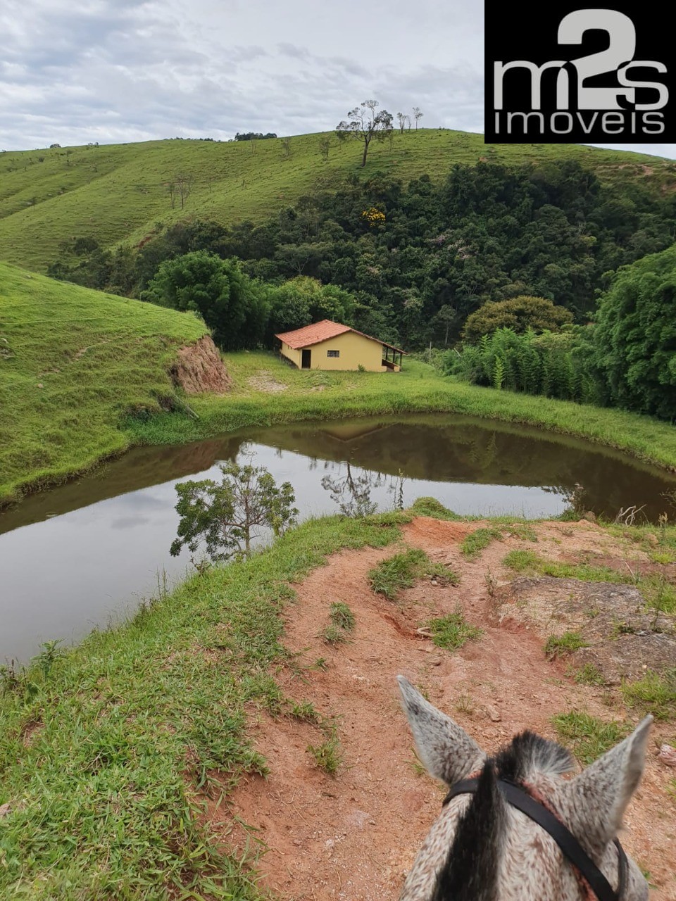 Fazenda à venda com 4 quartos - Foto 7