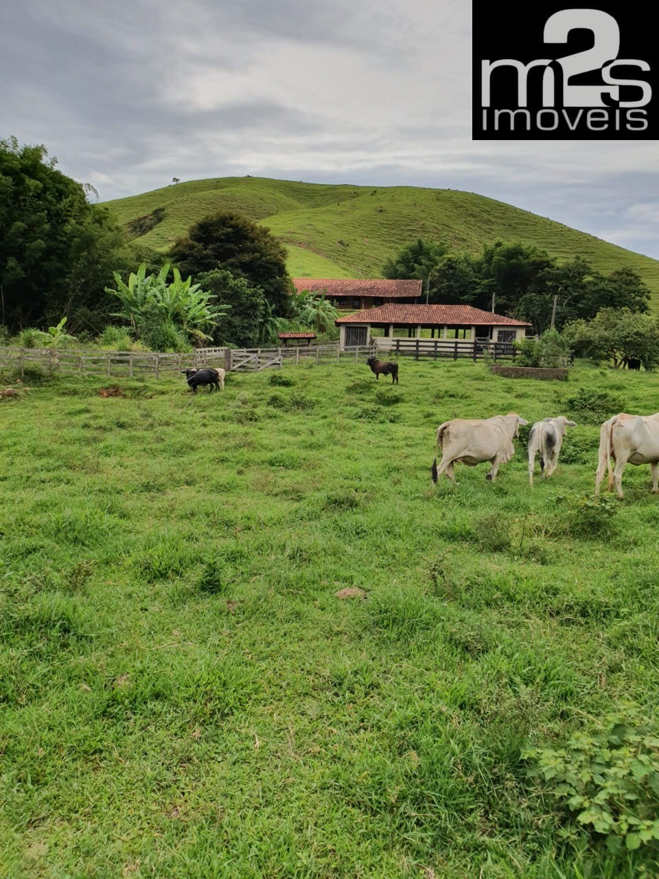 Fazenda à venda com 4 quartos - Foto 1