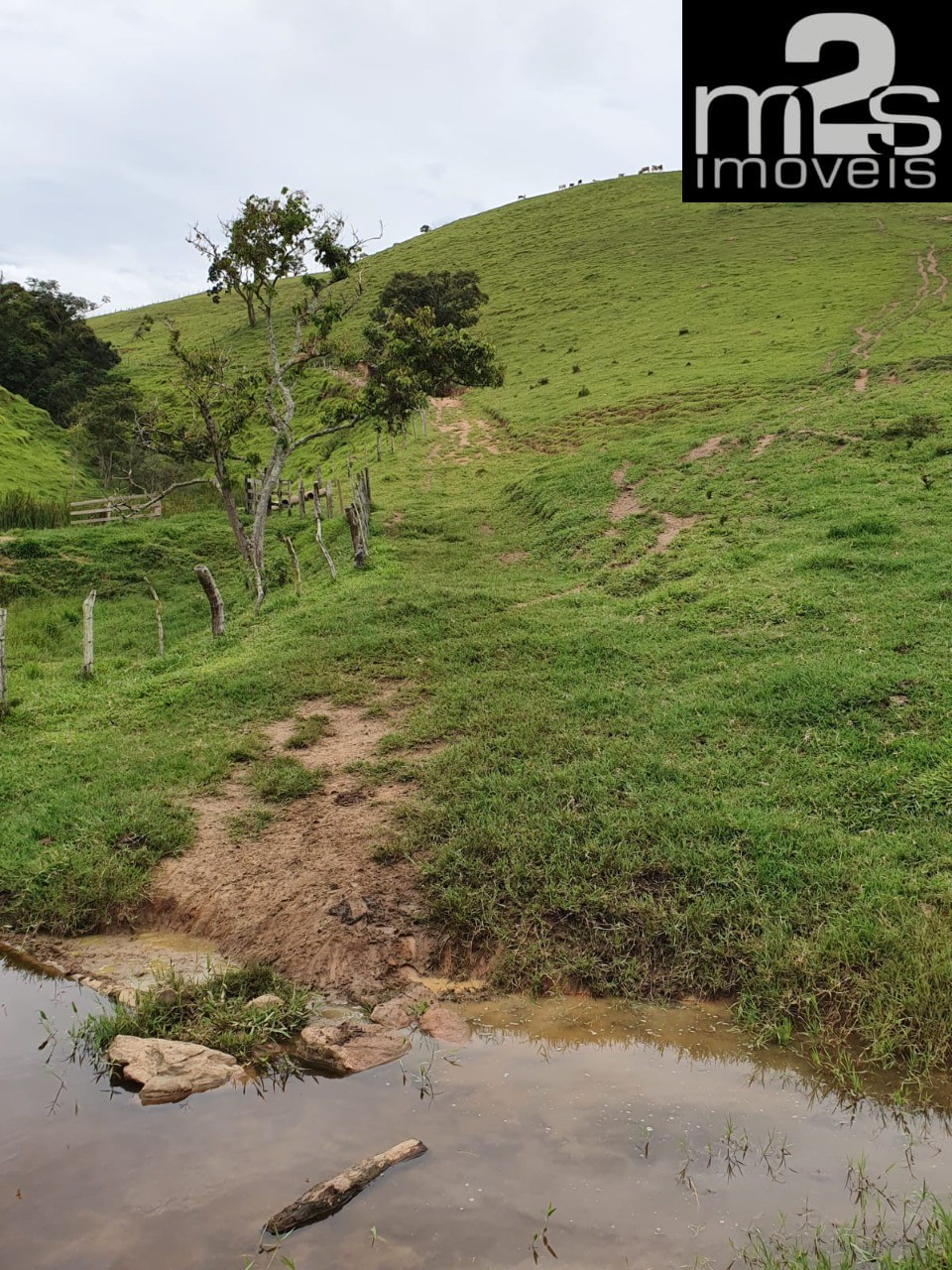 Fazenda à venda com 4 quartos - Foto 14