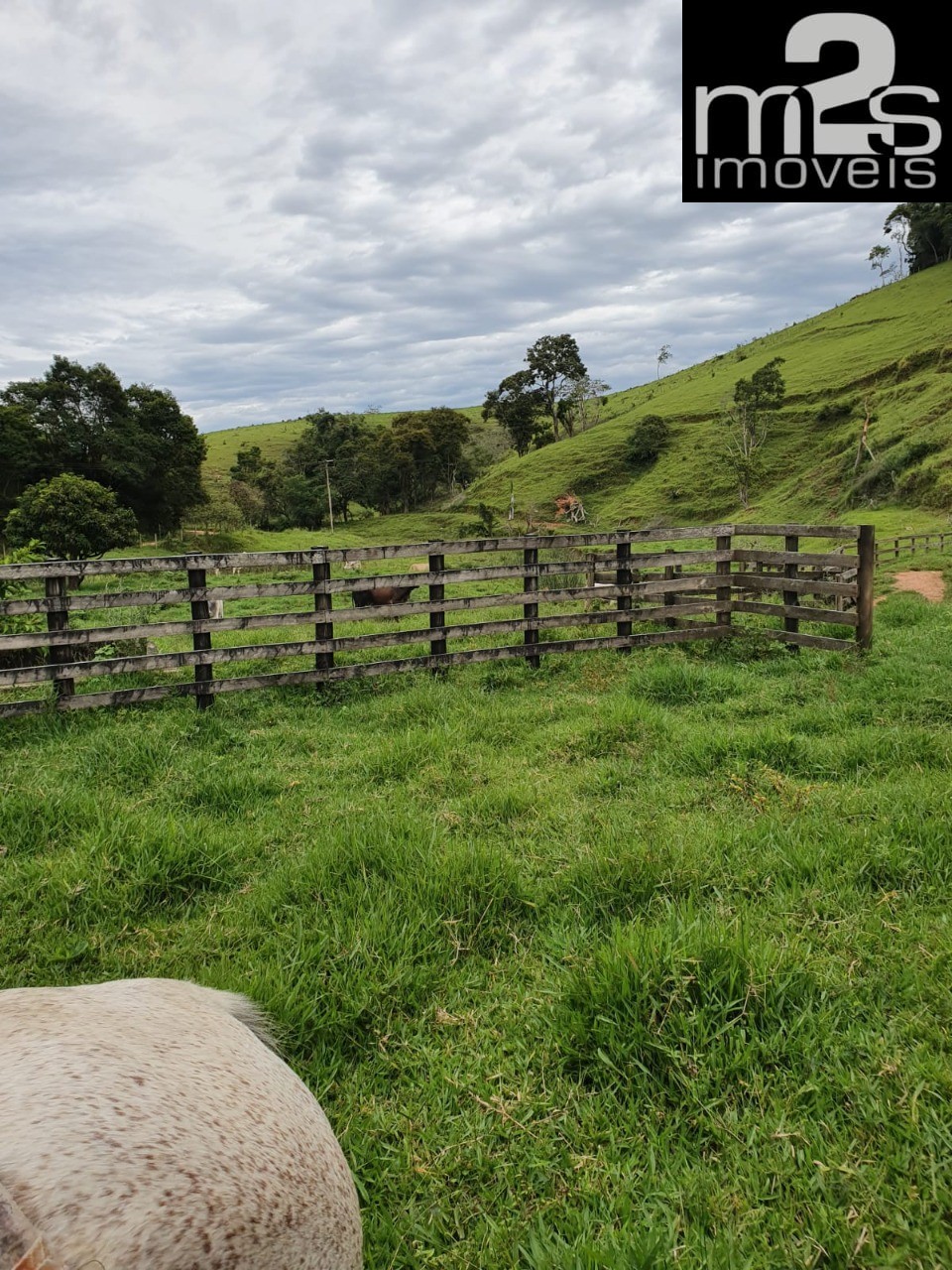 Fazenda à venda com 4 quartos - Foto 4