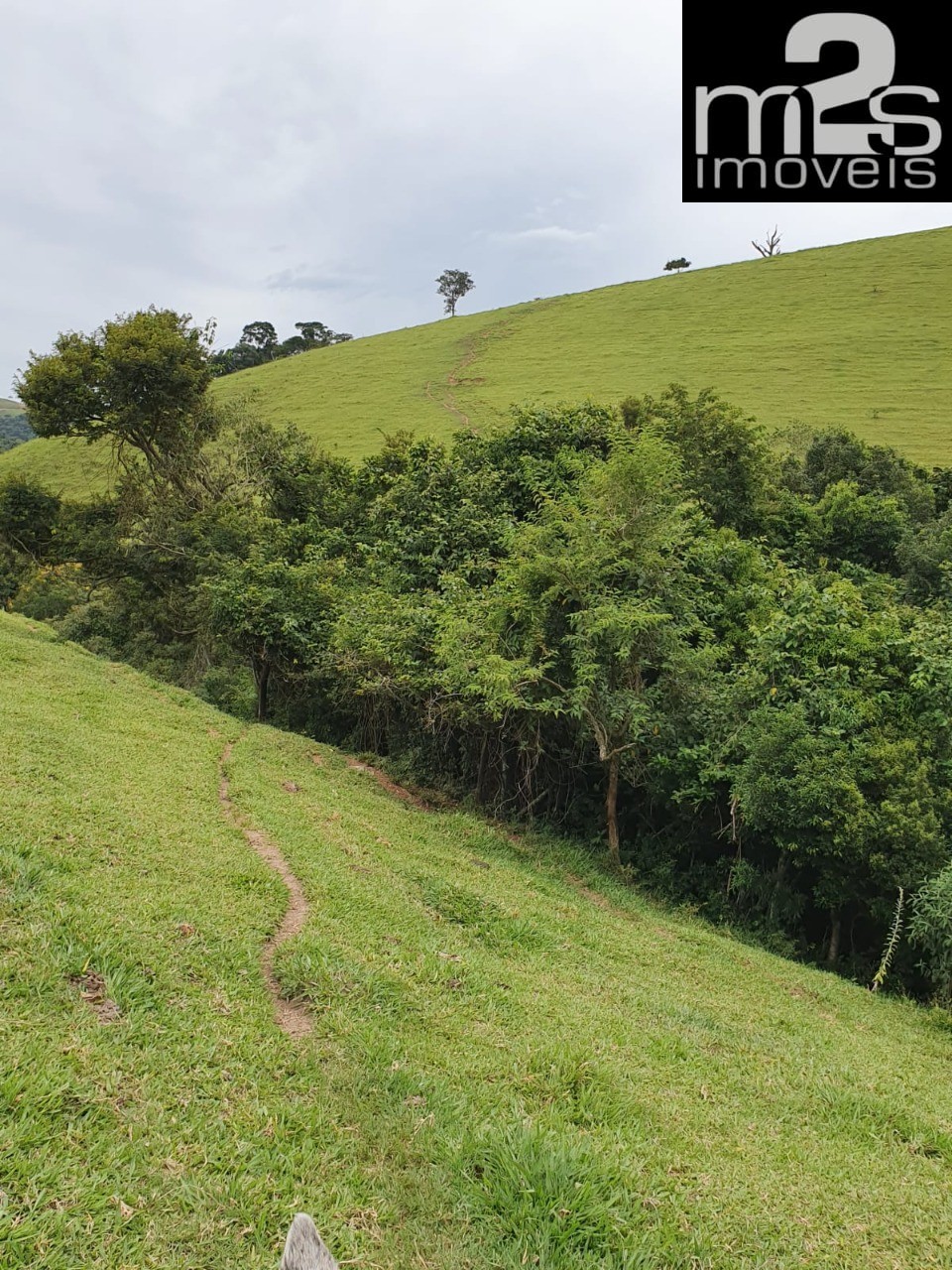 Fazenda à venda com 4 quartos - Foto 17