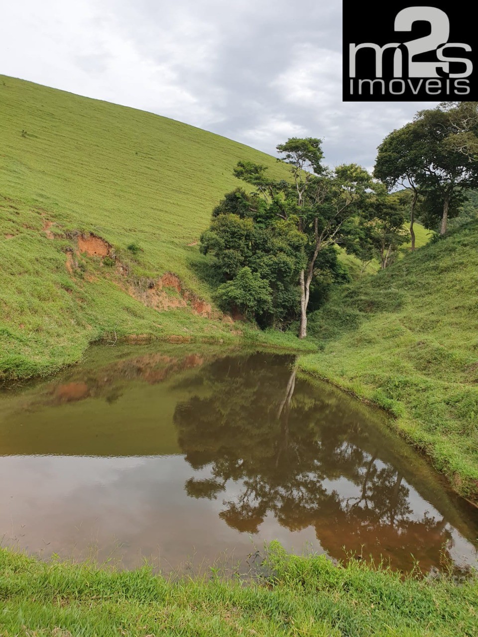 Fazenda à venda com 4 quartos - Foto 13