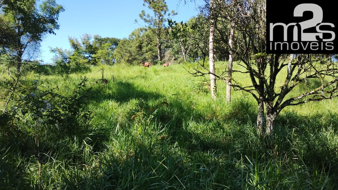 Chácara à venda - Foto 7