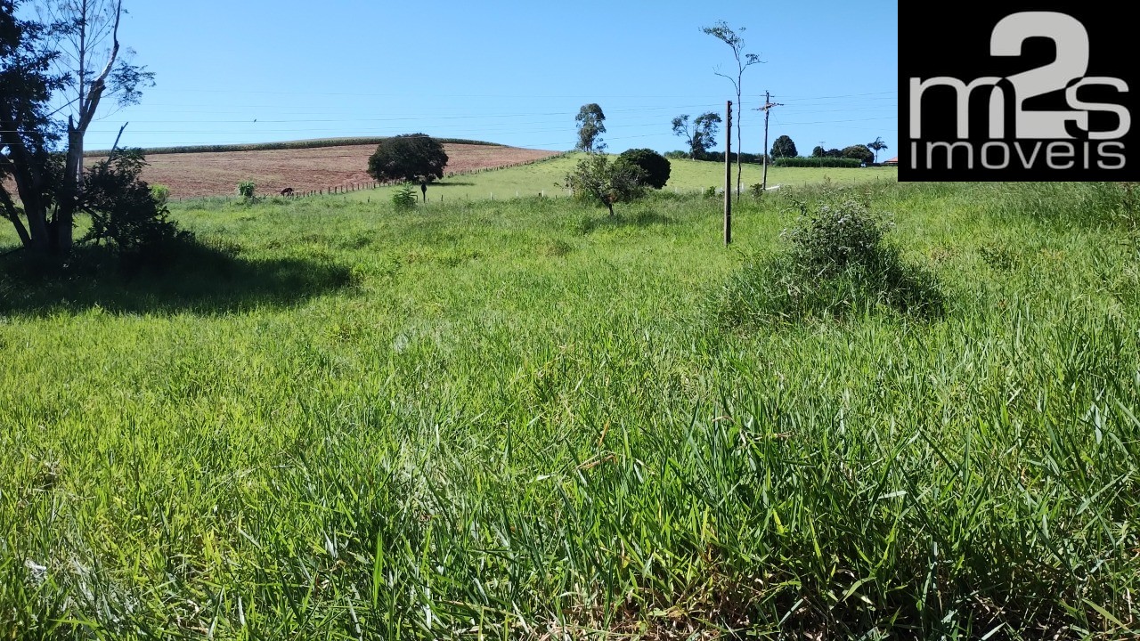 Chácara à venda - Foto 3