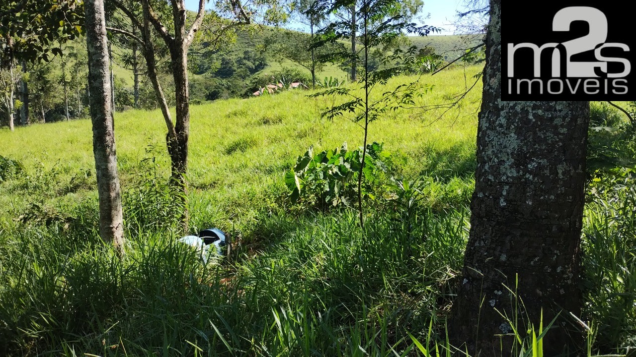 Chácara à venda - Foto 5