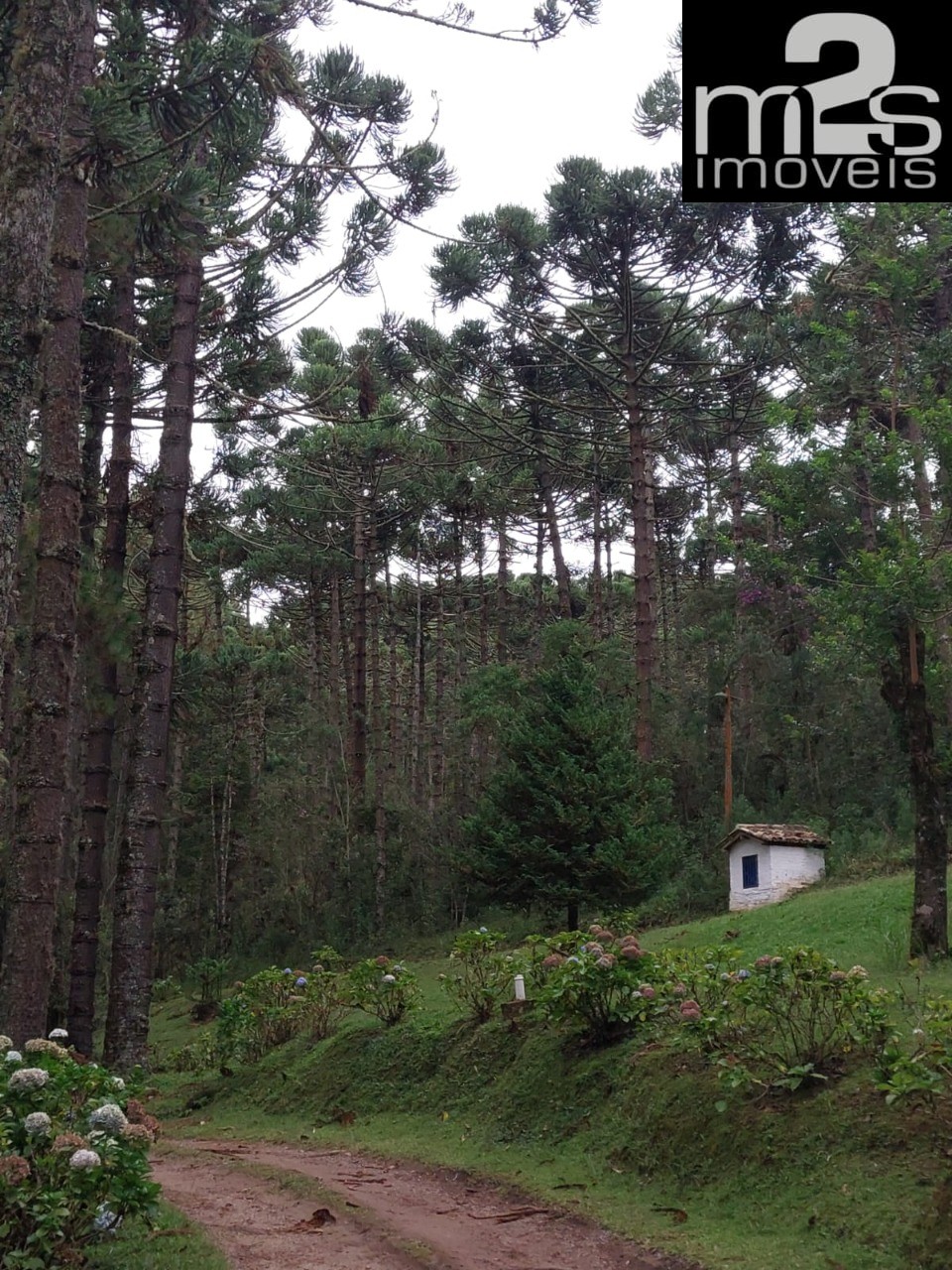 Pousada-Chalé à venda com 13 quartos, 1100m² - Foto 24