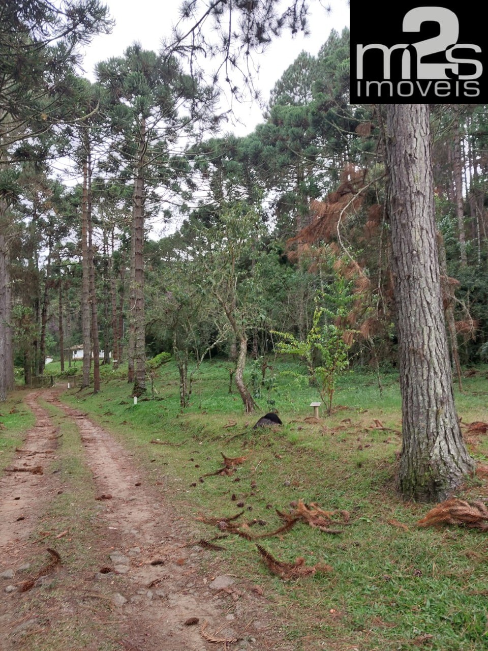 Pousada-Chalé à venda com 13 quartos, 1100m² - Foto 30