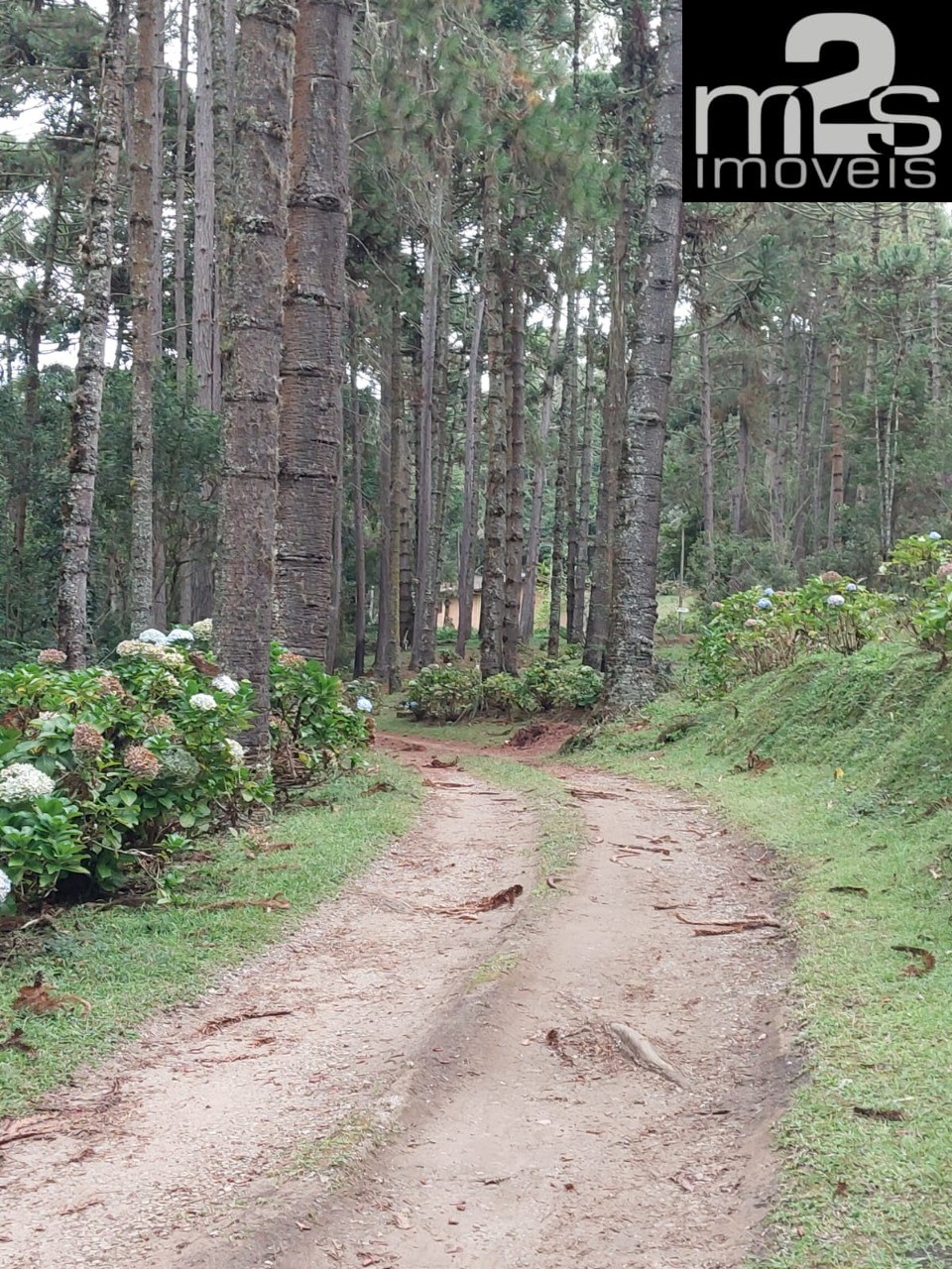 Pousada-Chalé à venda com 13 quartos, 1100m² - Foto 21