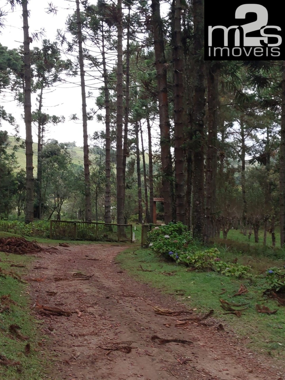 Pousada-Chalé à venda com 13 quartos, 1100m² - Foto 22