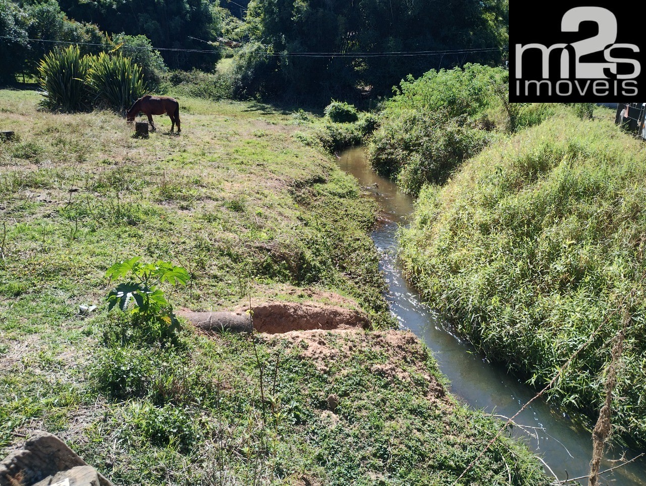 Chácara à venda com 2 quartos - Foto 2