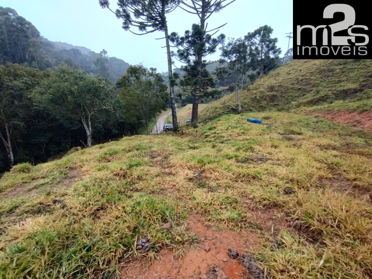 Chácara à venda, 20000m² - Foto 5