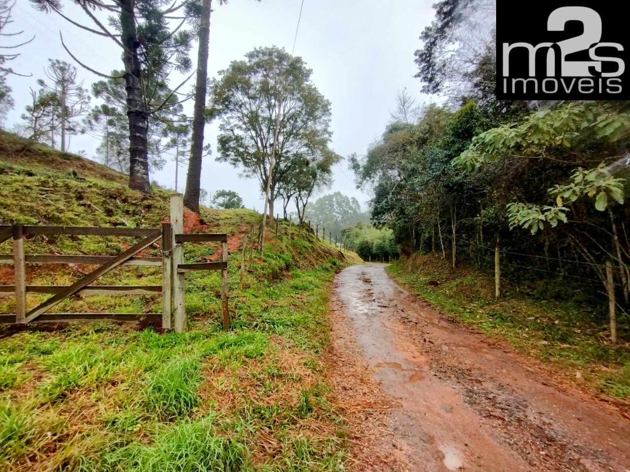 Chácara à venda, 20000m² - Foto 2