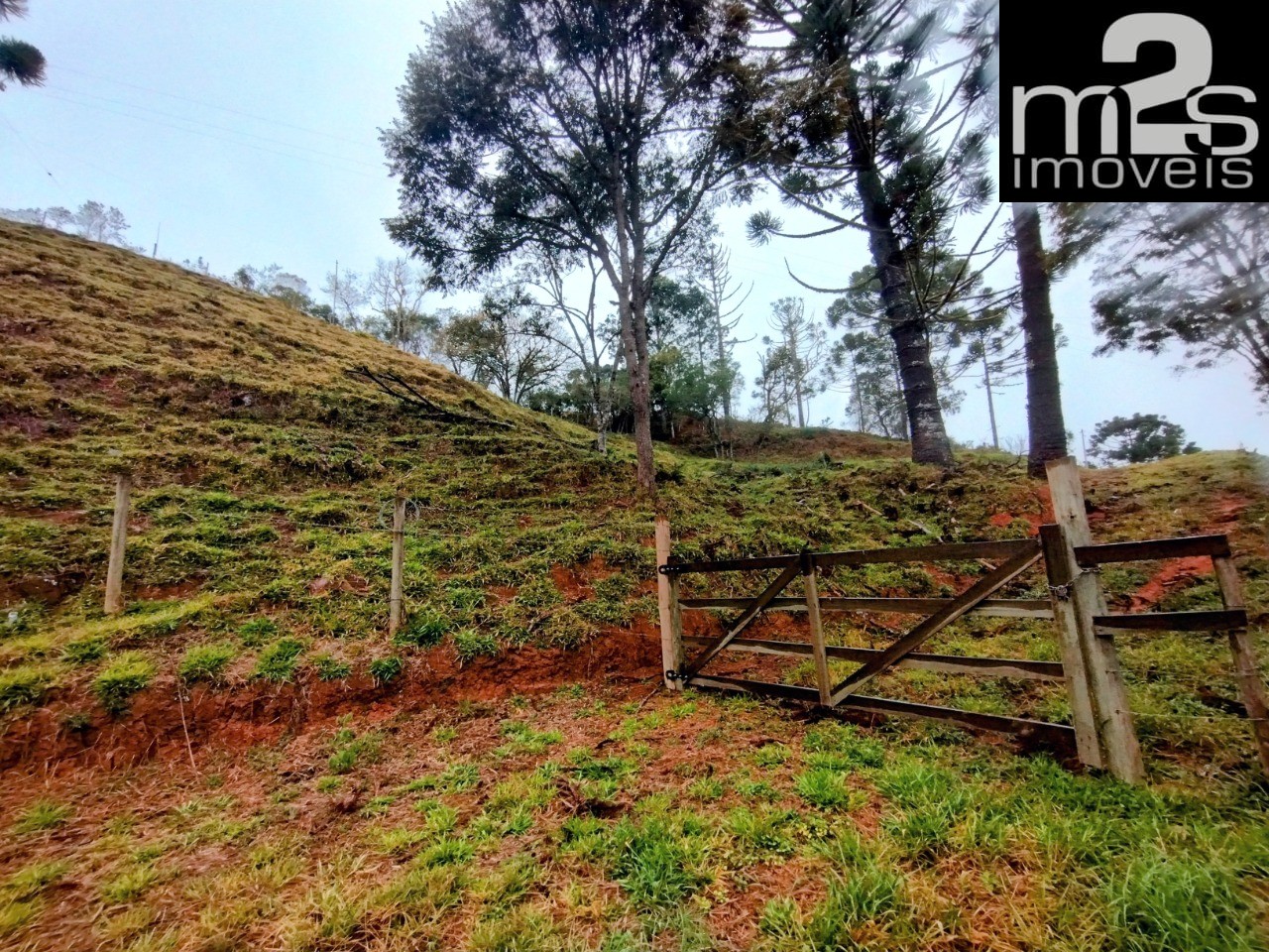 Chácara à venda, 20000m² - Foto 3