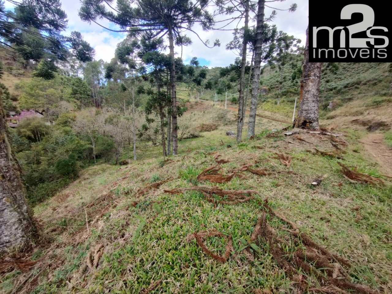 Chácara à venda, 20000m² - Foto 2