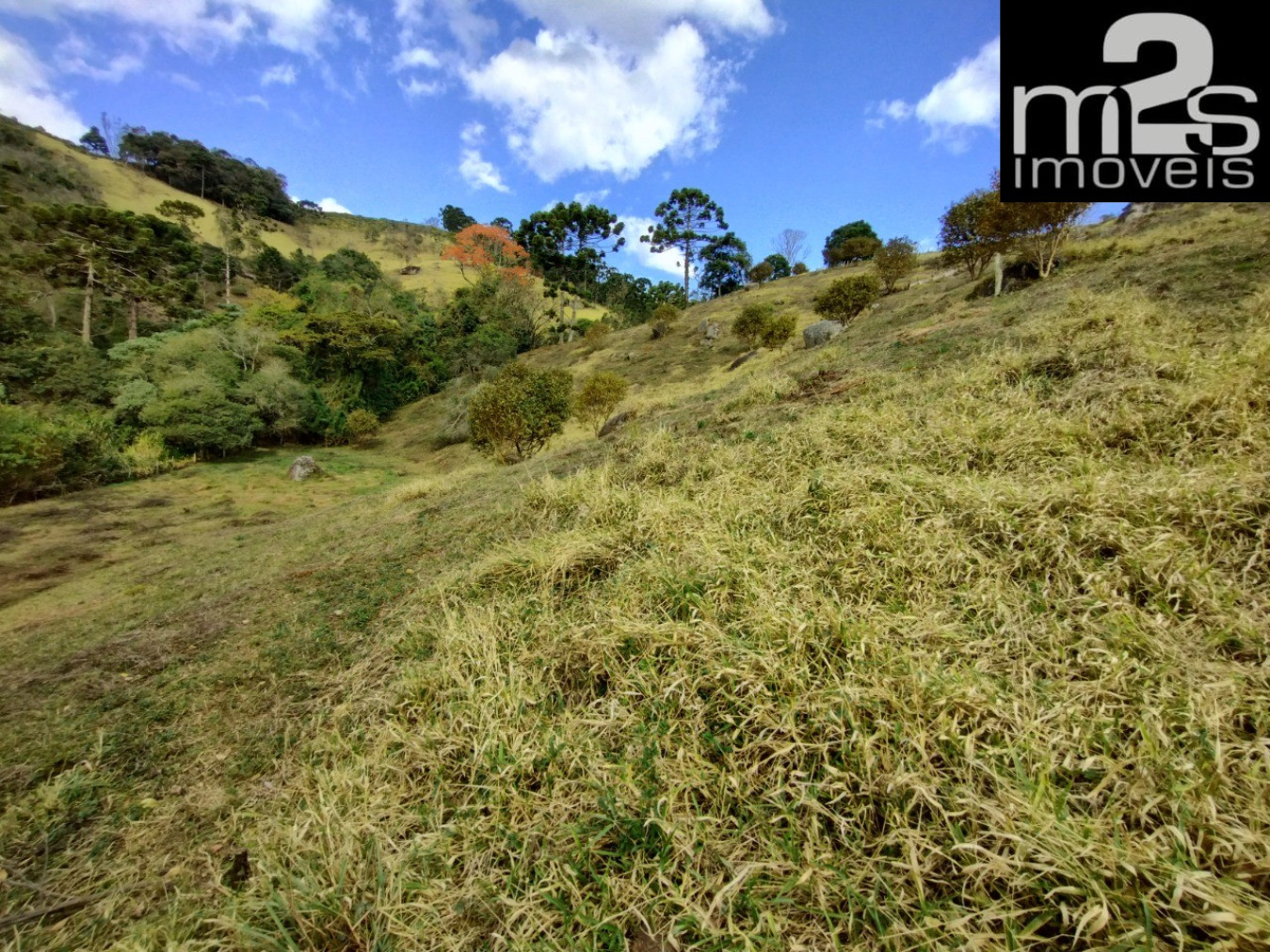 Chácara à venda - Foto 2