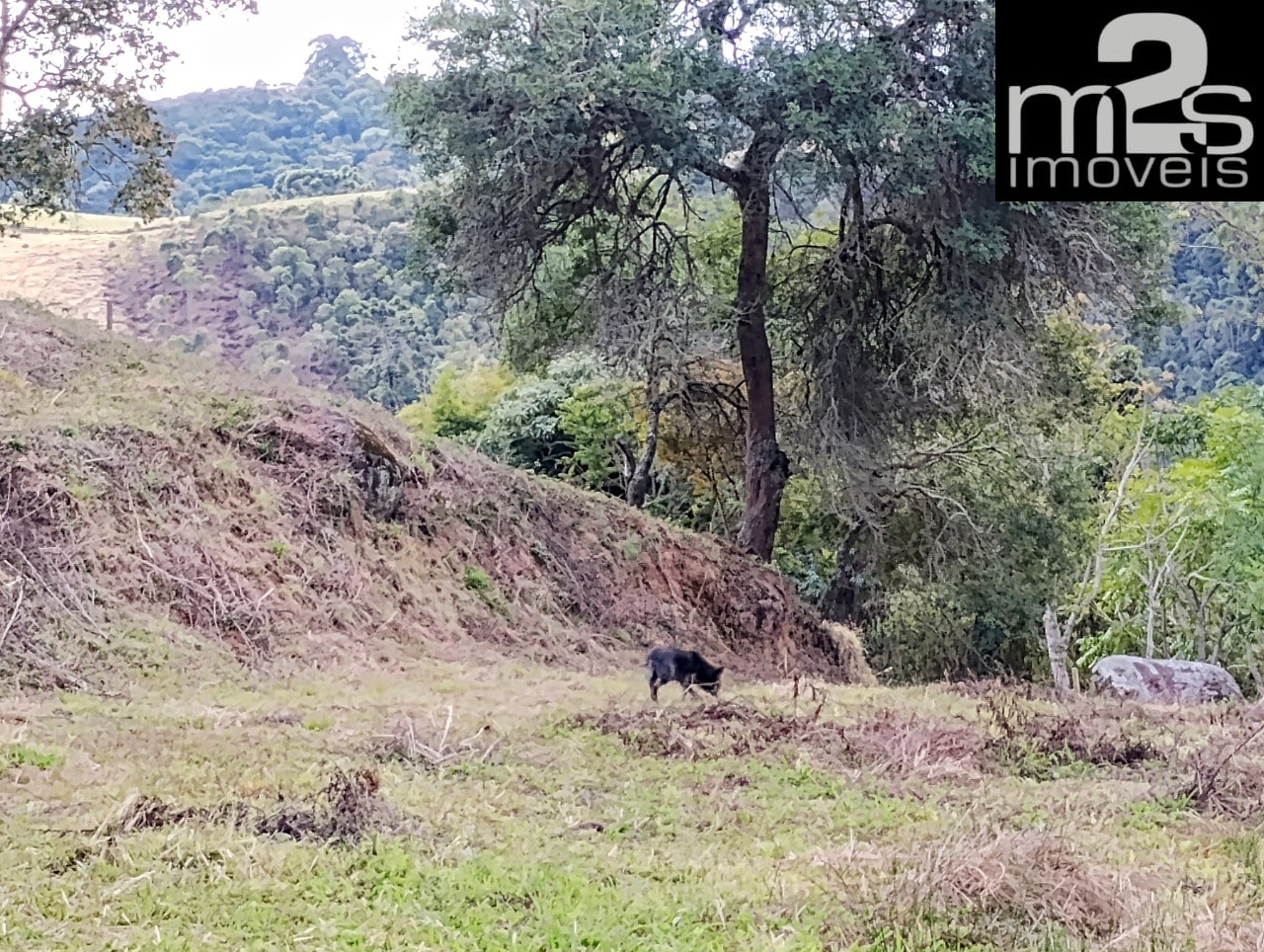 Chácara à venda - Foto 8