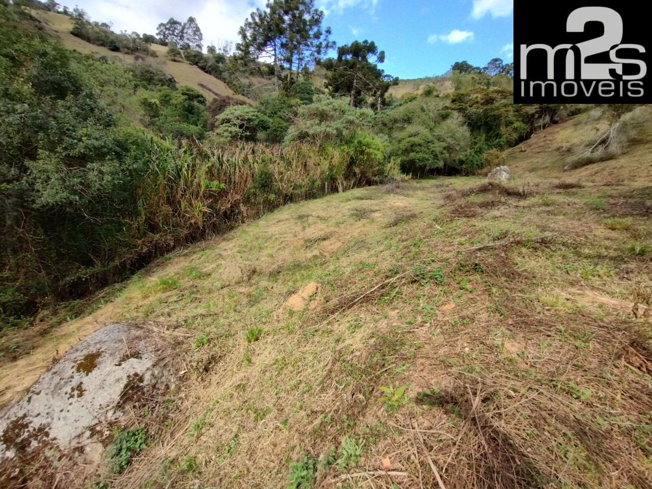 Chácara à venda - Foto 6