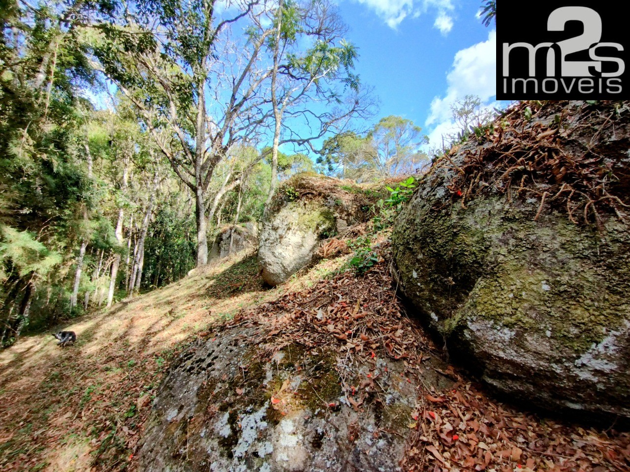 Chácara à venda - Foto 10