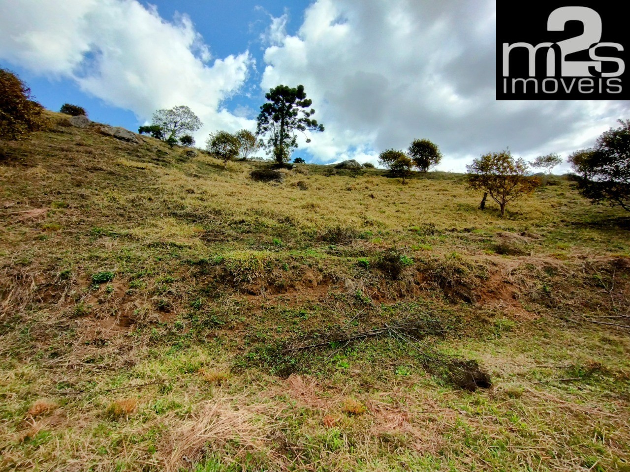 Chácara à venda - Foto 4