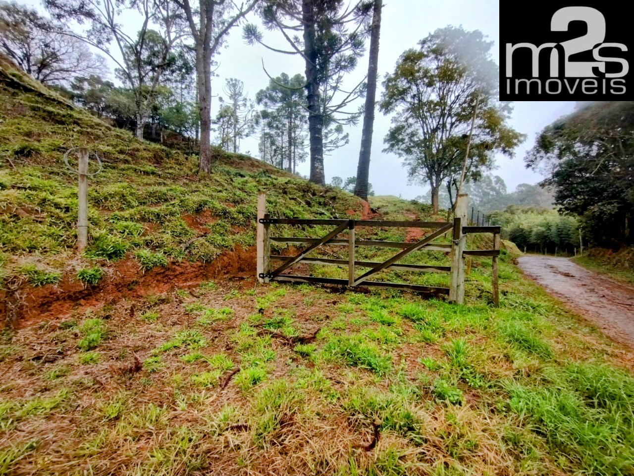 Chácara à venda, 20000m² - Foto 1