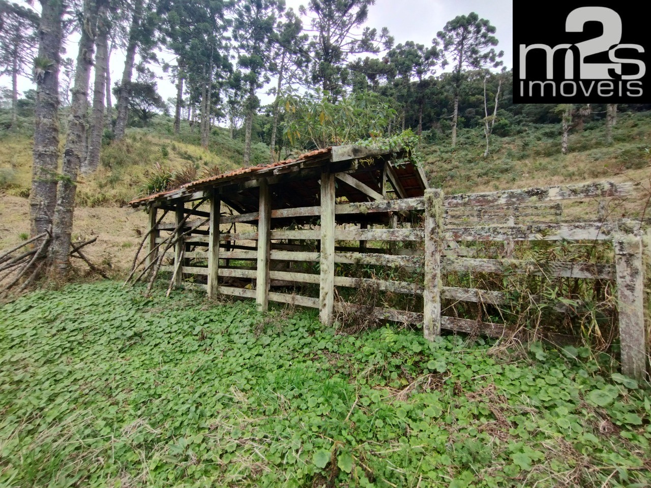 Chácara à venda, 20000m² - Foto 9