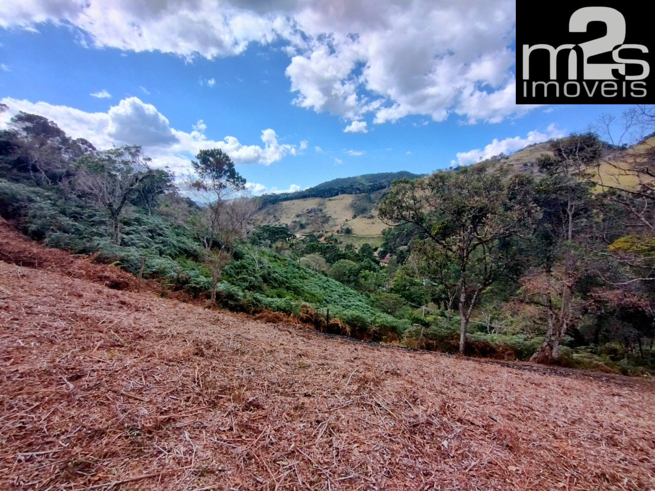 Chácara à venda, 20000m² - Foto 4