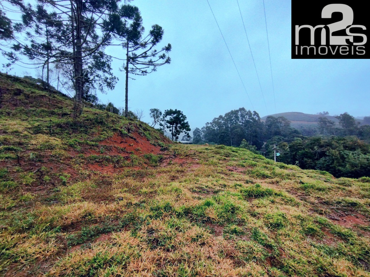 Chácara à venda, 20000m² - Foto 4