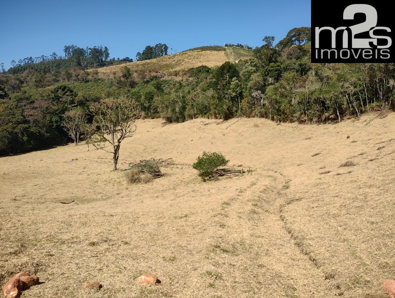 Chácara à venda - Foto 6