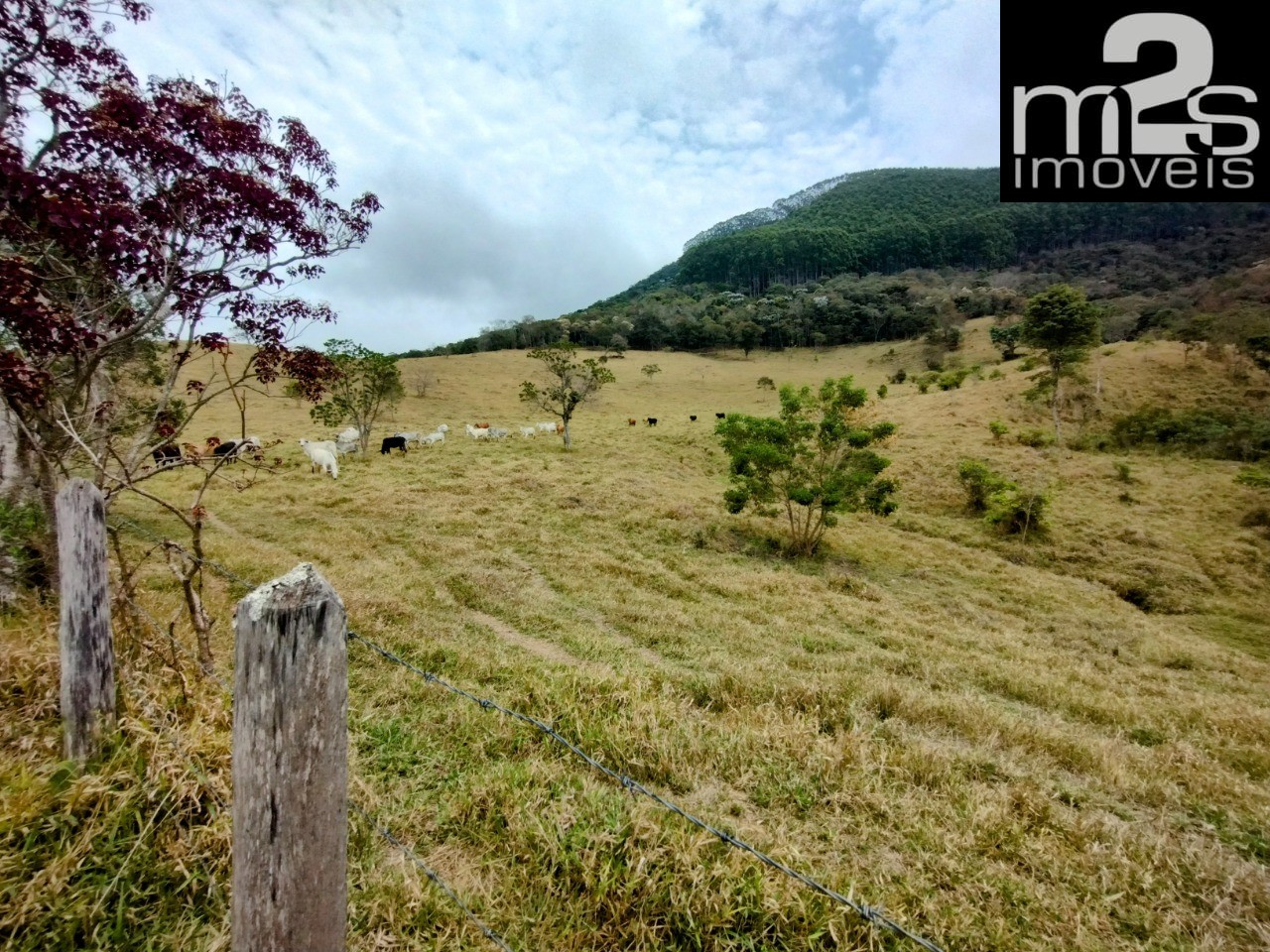 Fazenda à venda, 40m² - Foto 2