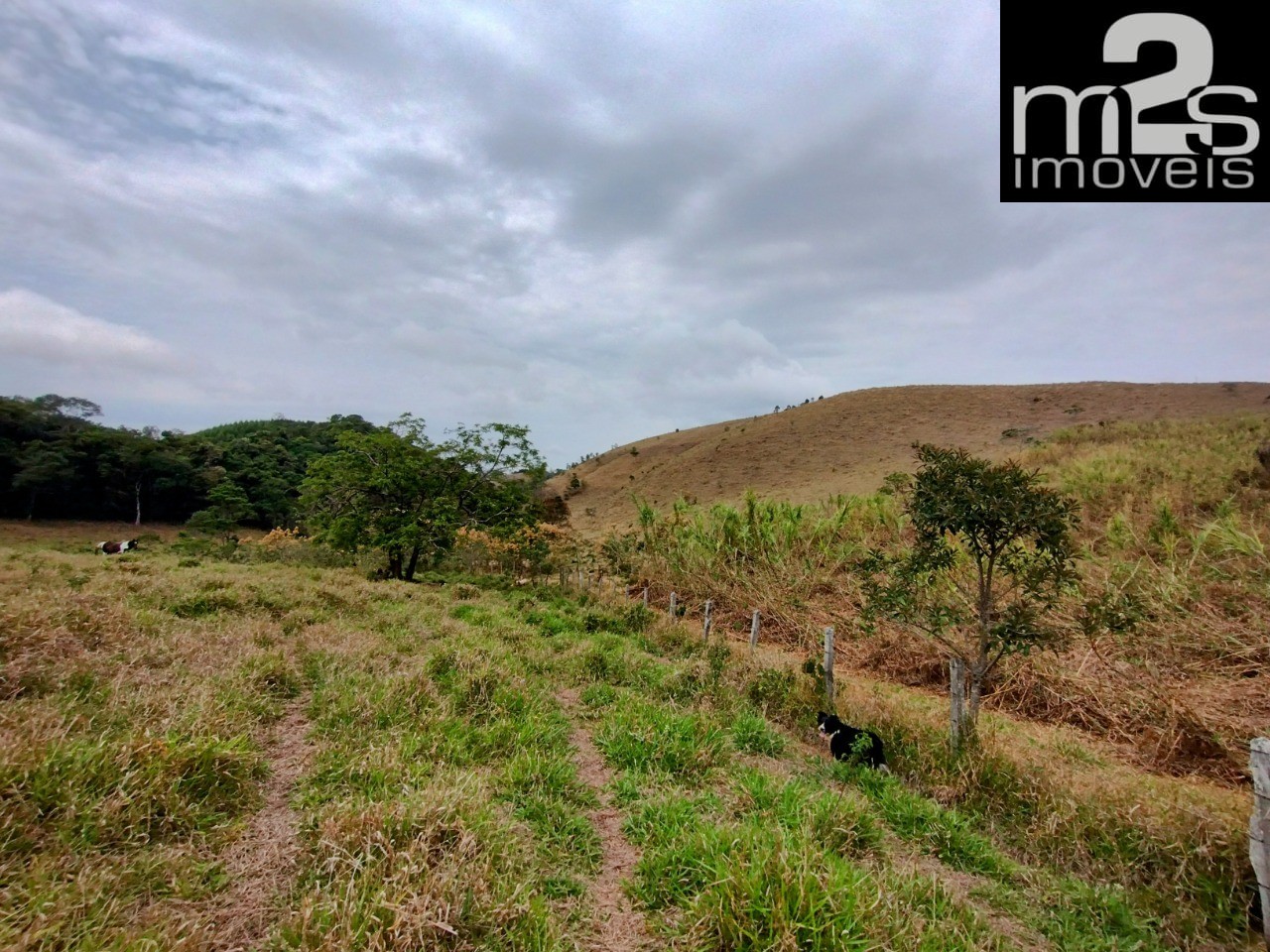 Fazenda à venda, 40m² - Foto 7