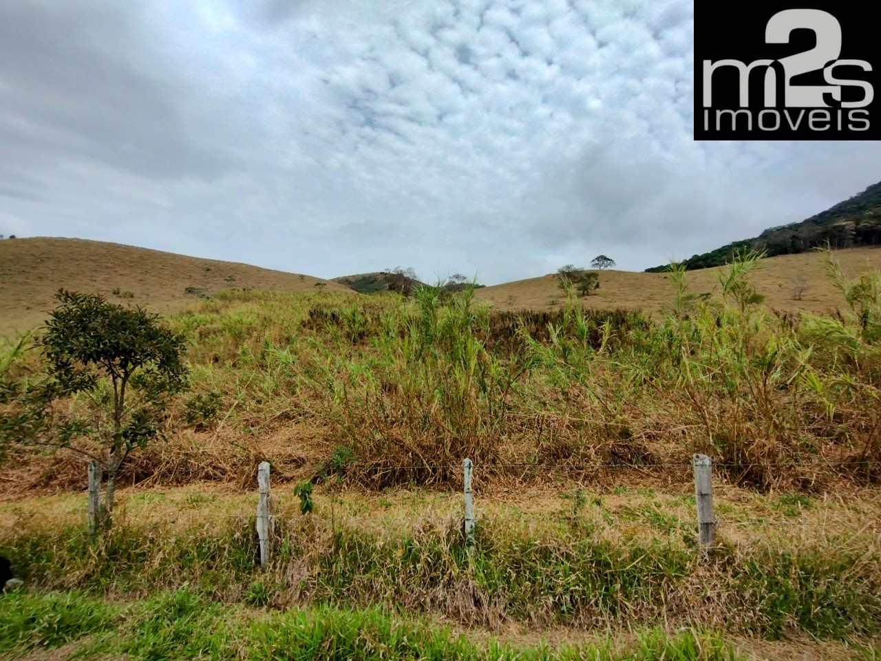 Fazenda à venda, 40m² - Foto 6