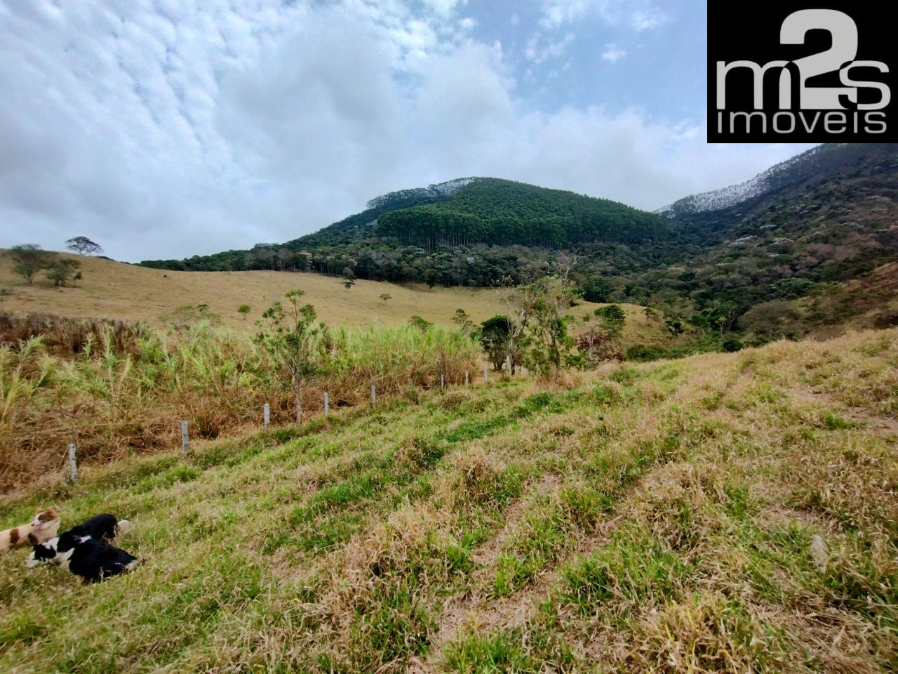 Fazenda à venda, 40m² - Foto 5