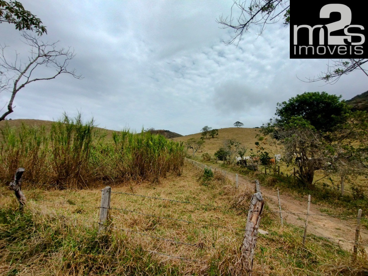 Fazenda à venda, 40m² - Foto 9