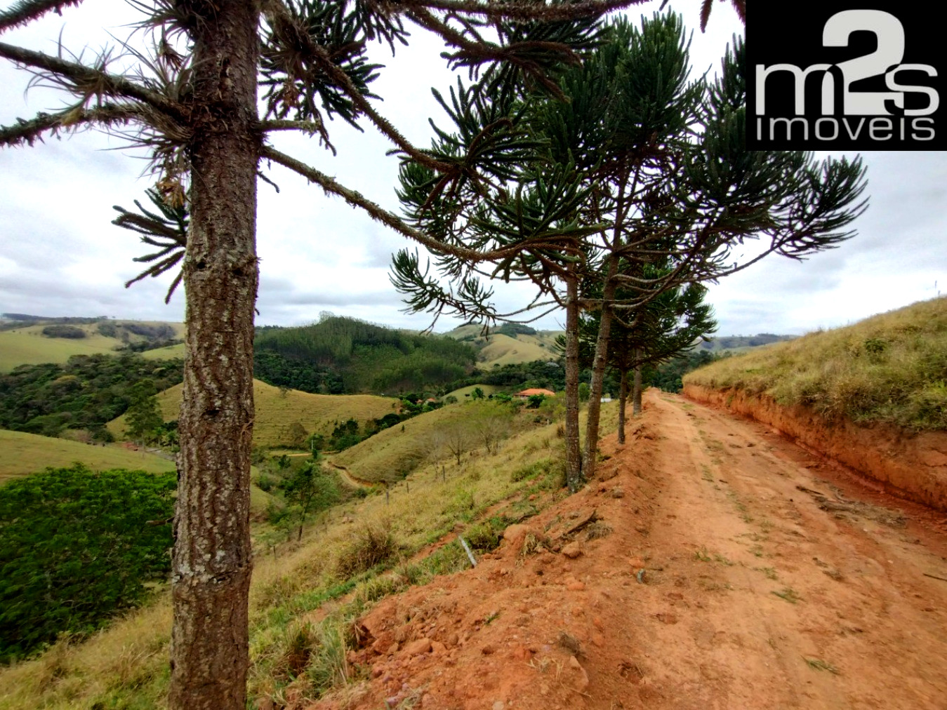 Chácara à venda, 20000m² - Foto 3