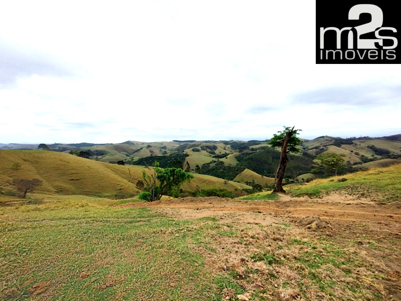 Chácara à venda, 20000m² - Foto 5