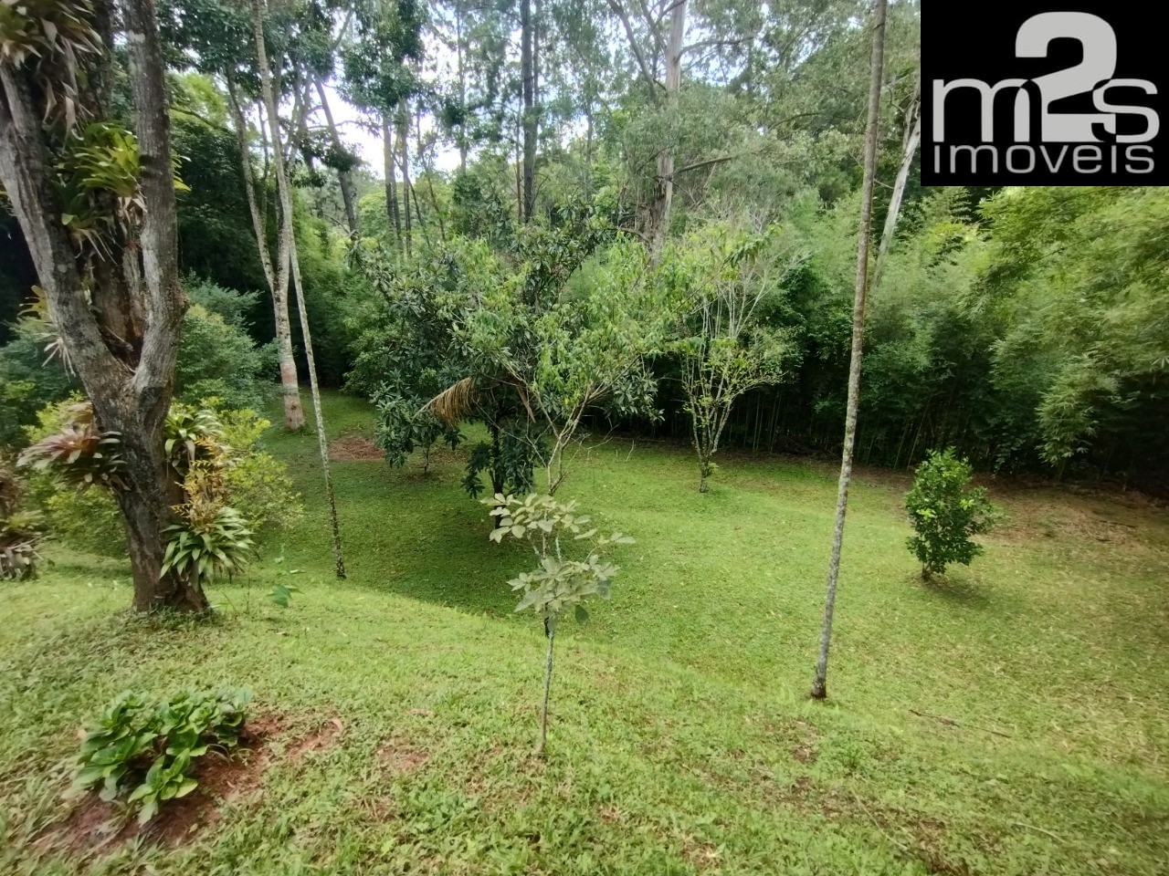Chácara, 6 quartos - Foto 5