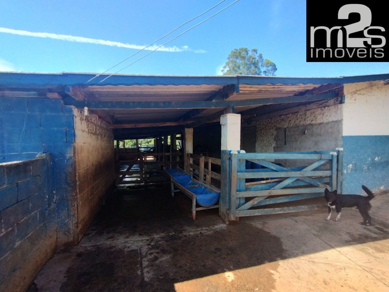 Sítio, 5 quartos - Foto 28