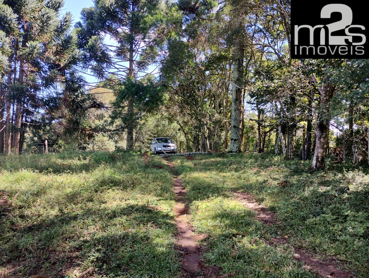 Chácara, 2 hectares - Foto 8