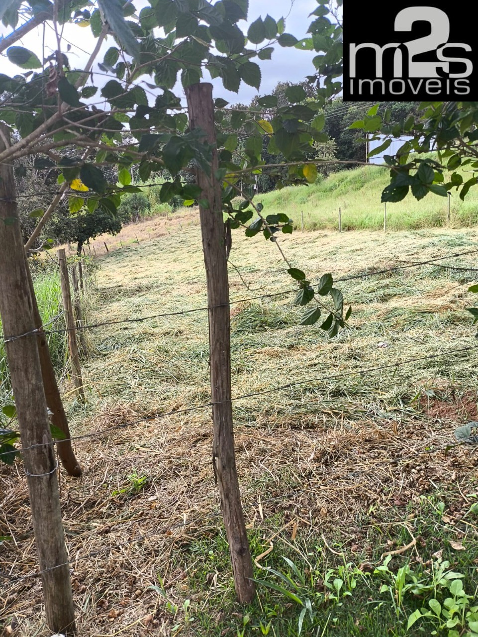 Terreno, 700 m² - Foto 3