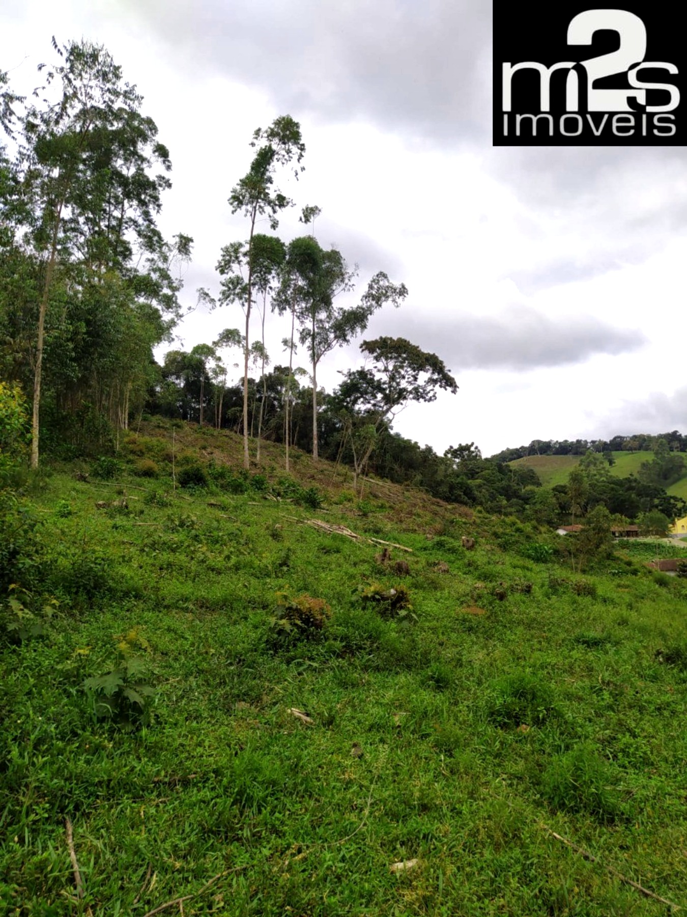 Chácara, 1 hectares - Foto 7