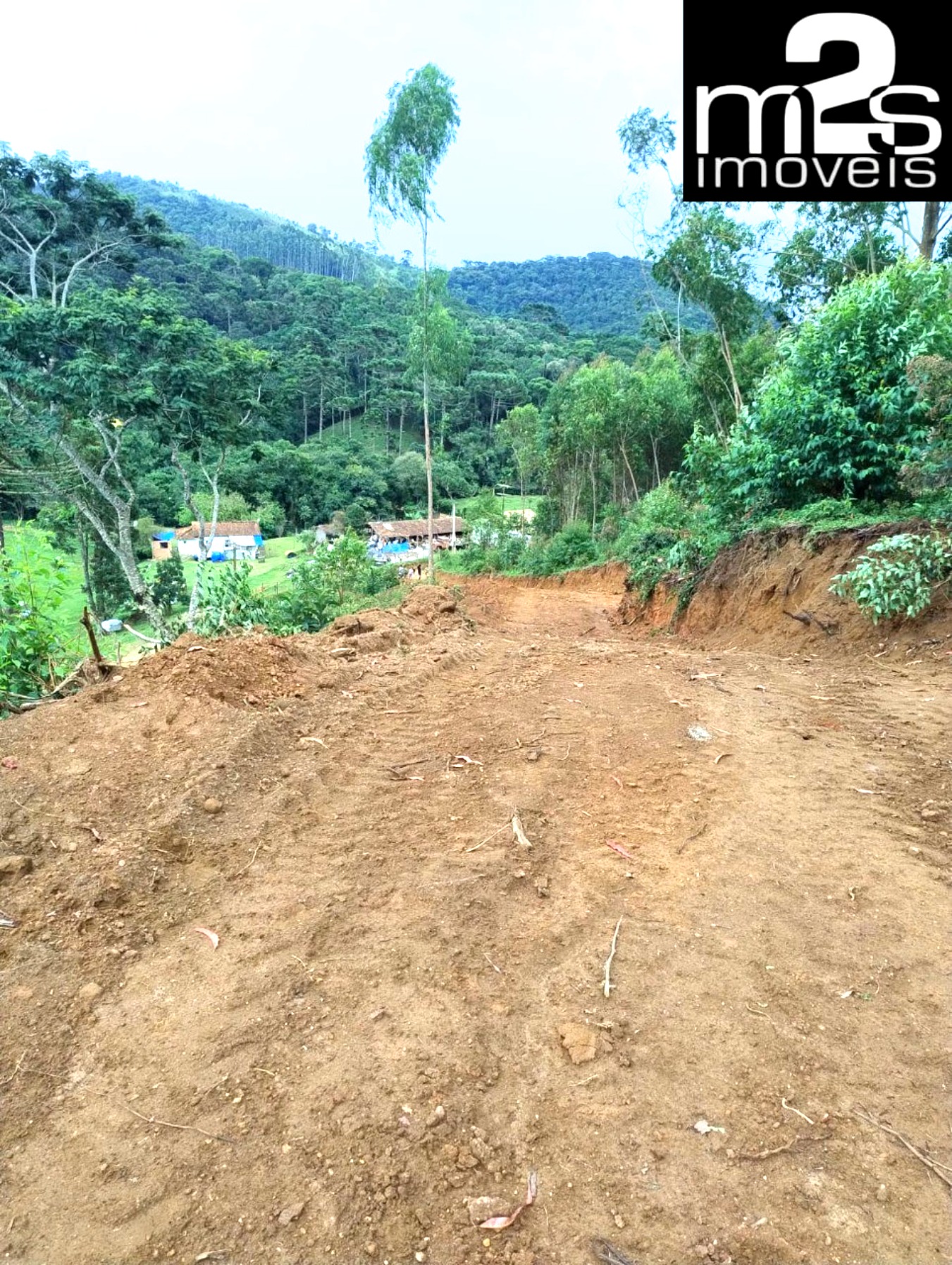 Chácara, 1 hectares - Foto 3