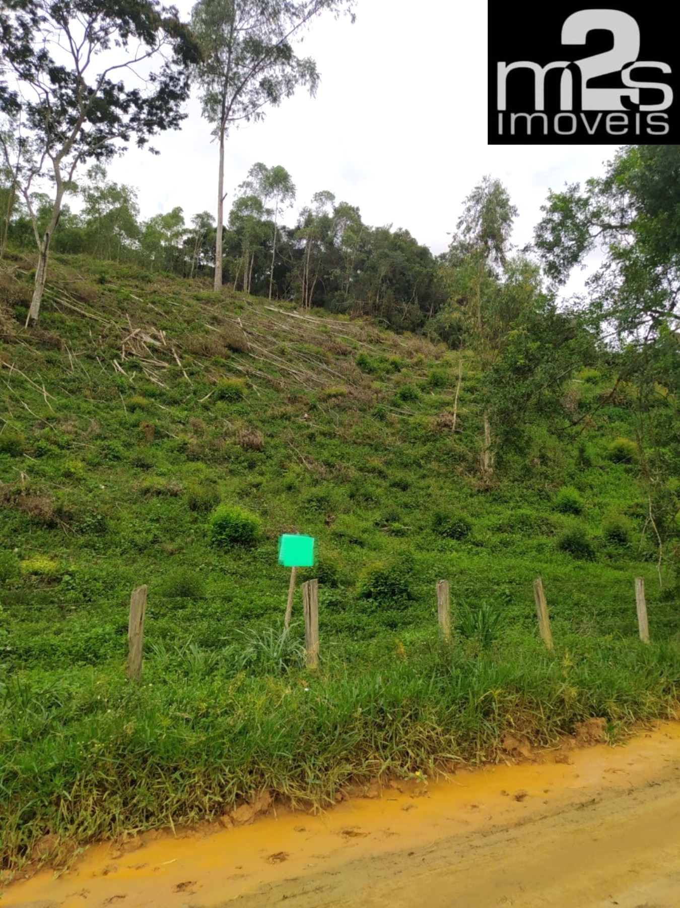 Chácara, 1 hectares - Foto 2