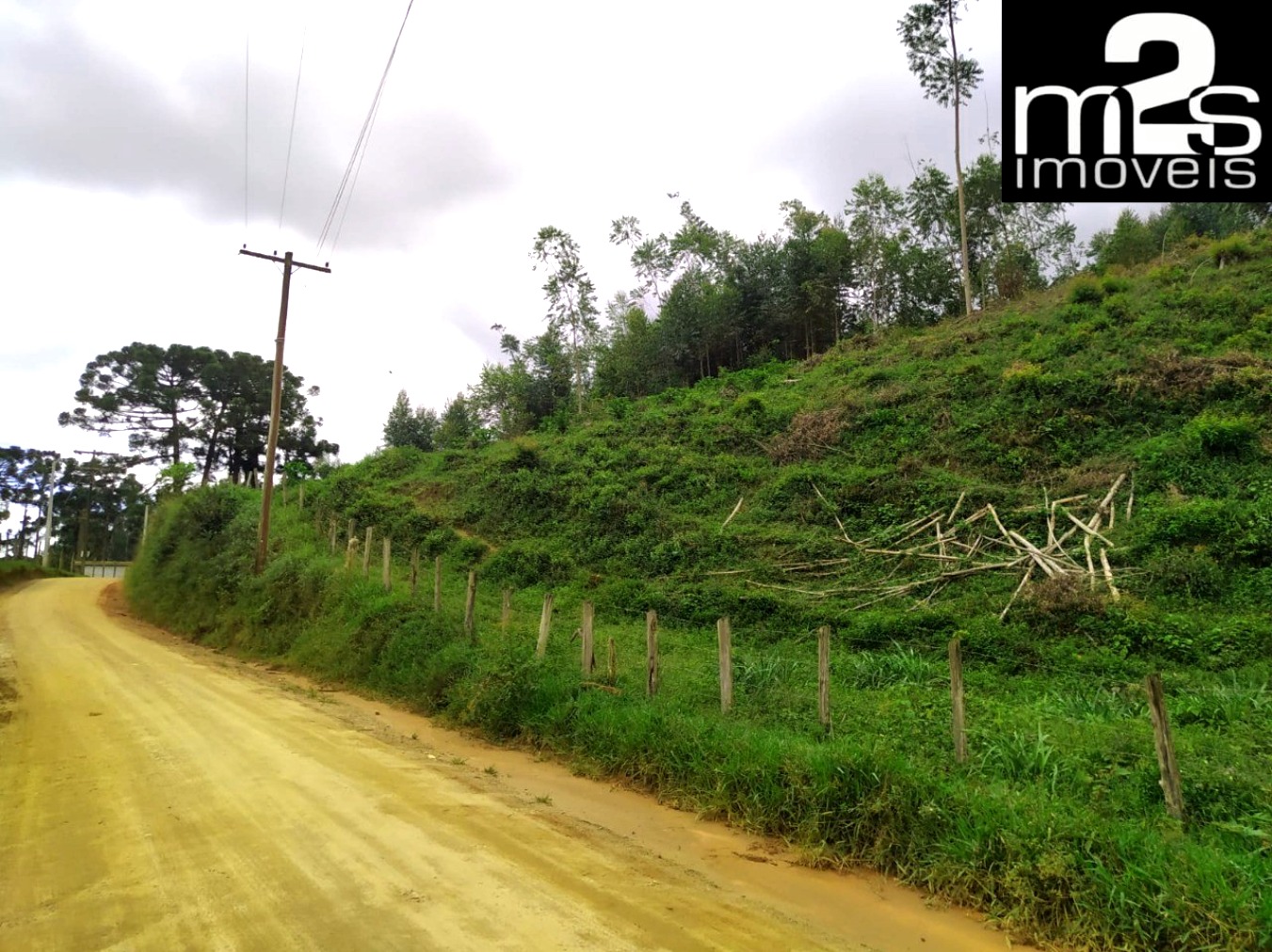 Chácara, 1 hectares - Foto 6