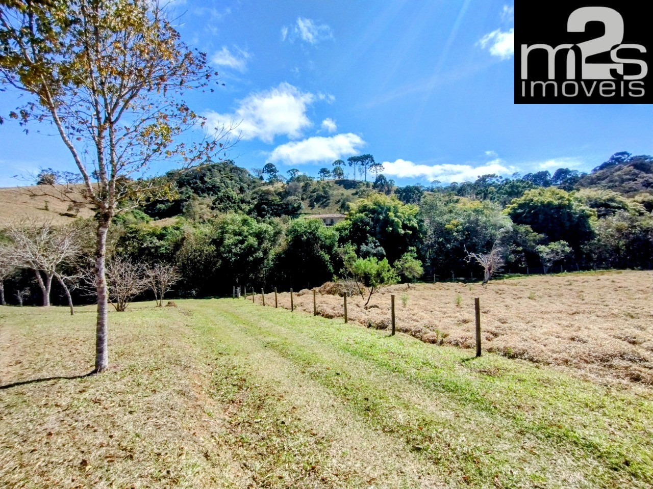 Chácara, 2 quartos, 2 hectares - Foto 21