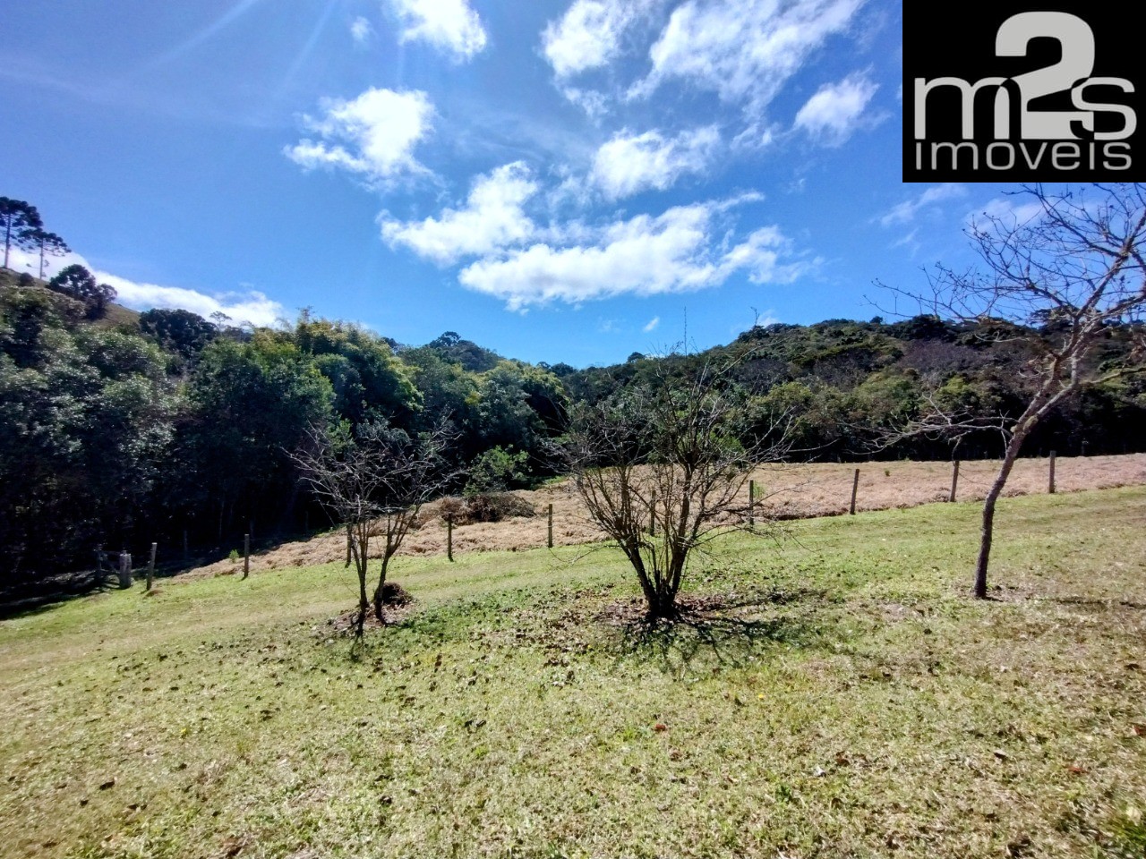 Chácara, 2 quartos, 2 hectares - Foto 20