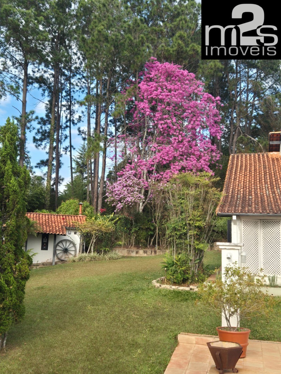 Casa, 6 quartos - Foto 29