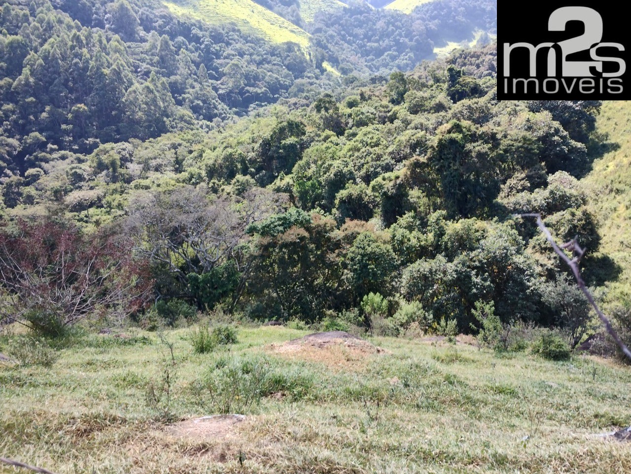 Fazenda - Foto 42