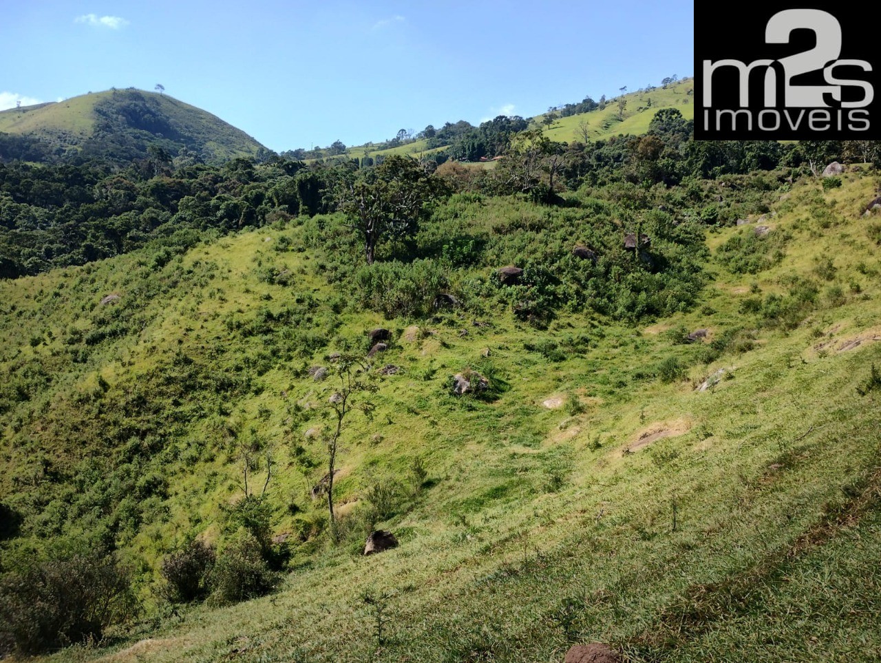 Fazenda - Foto 22