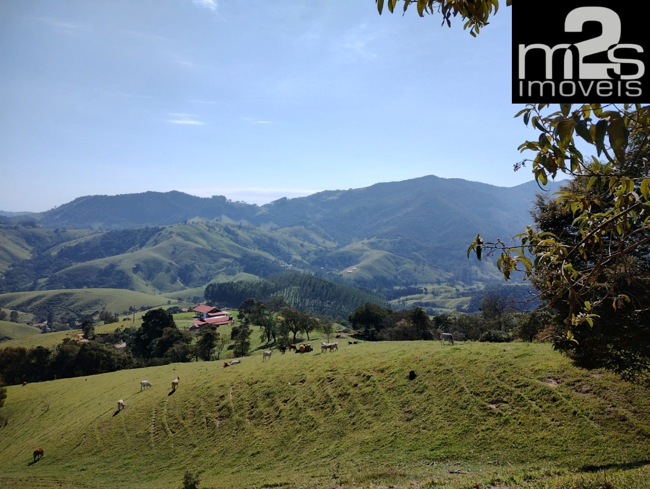 Fazenda - Foto 19