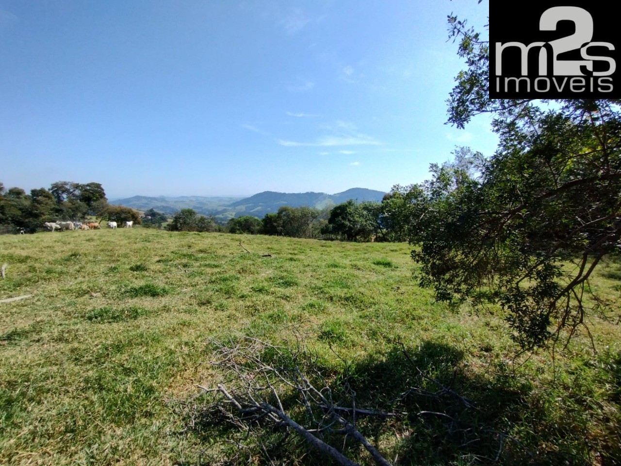 Fazenda - Foto 13